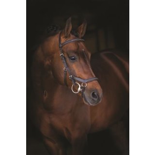 Horseware Rambo Trense Micklem Competition Deluxe