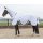 Harry`s Horse Fliegendecke mit festem Halsteil weiß 1,55 m