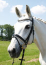 Hans Melzer Trense Wiesbaden engl. Reithalfter