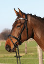Hans Melzer Trense Wiesbaden engl. Reithalfter