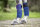 HKM Polarfleecebandagen Prinzess 4er Set