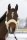 Kentucky Lammfell Transport Halfter