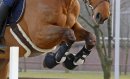 Kentucky Tendon Grip Bandagenstrumpf