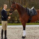 Kingsland Schabracke Modock Coolmax