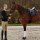 Kingsland Schabracke Modock Coolmax