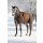 Horseware Rambo Wug Turnout 450g VL brown  1,55 m