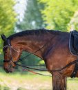 Waldhausen Dreieckszügel trainRein schwarz