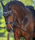 Waldhausen Dreieckszügel trainRein schwarz