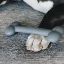 Kentucky Hundespielzeug Silikon Knochen