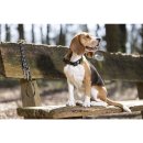 HKM Hundeleine Beagle dunkelgrün
