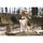 HKM Hundeleine Beagle dunkelgrün ca. 190 cm