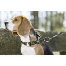 HKM Hundehalsband Beagle dunkelgrün