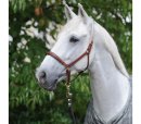 Kavalkade Lederhalfter Charming