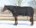 QHP Decke Kombiset Tournout 200g - Unterdecke 100g - Hals 200g schwarz/twist
