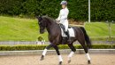 LeMieux Schabracke Loire Classic Dressur
