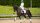 LeMieux Schabracke Loire Classic Dressur