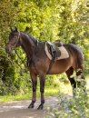LeMieux Schabracke Work Pad Springen
