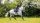 LeMieux Schabracke Work Pad Springen