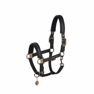 Eskadron Platinum Halfter Double Pin Faux Leather