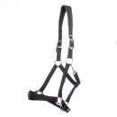 Kavalkade Halfter Classic Simple
