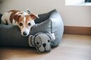 Kentucky Hundespielzeug Dog-Head grau