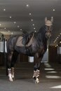 Eskadron Platinum Schabracke Sparkle Jewel