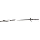 Kavalkade Gurtzügel Jagd mit Schlaufen 19 mm schwarz WB
