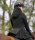 ELT Damen Heizparka Comfort Heat
