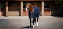 Bucas Decke Emerald Wool Rug navy