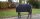 Bucas Decke Emerald Wool Rug navy