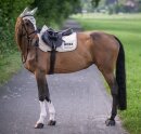 Boss Equestrian Spring Schabracke Cheltenham Tape WB