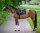 Boss Equestrian Spring Schabracke Cheltenham Tape WB