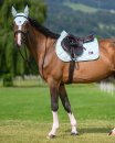 Tommy Hilfiger Equestrian Schabracke Columbia