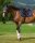 Tommy Hilfiger Equestrian Schabracke Columbia