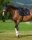 Tommy Hilfiger Equestrian Schabracke Columbia