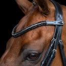 Imperial Riding Stirnband IRHClincher