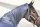 Eskadron Platinum Regenfliegendecke mit Halsteil slate blue