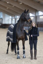 HorseGuard Halfter Angel