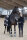 HorseGuard Halfter Angel